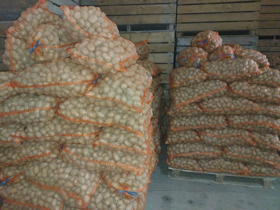 Cartofi de samanta si consum