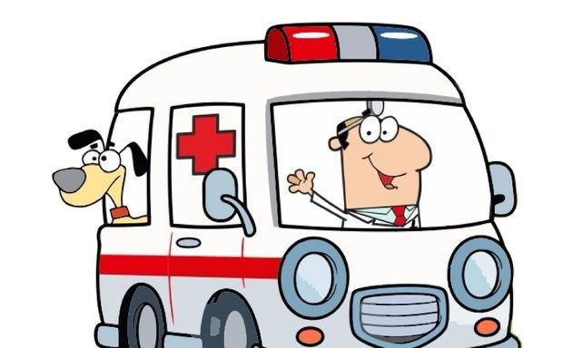 Ветеринар на дом