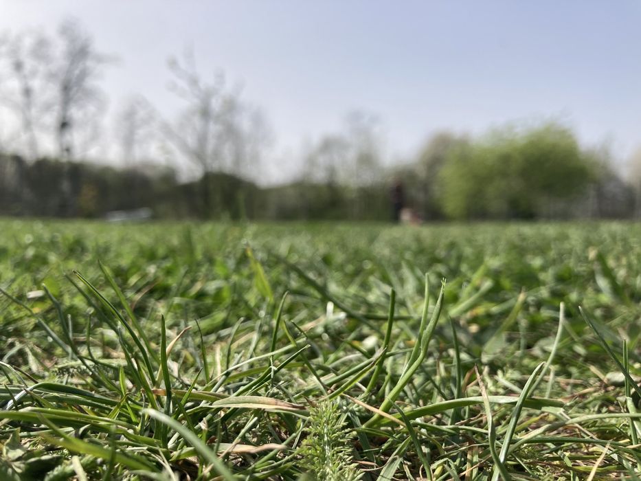 Defrisari si intretinere terenuri/ demolari