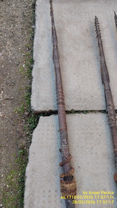 Vând trei sulițe melaneziene, prob. Papua Noua Guinee, Solomon Islands