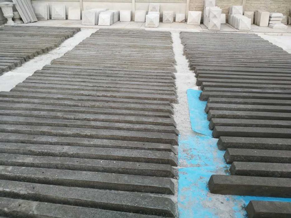 spalieri de vie si gard