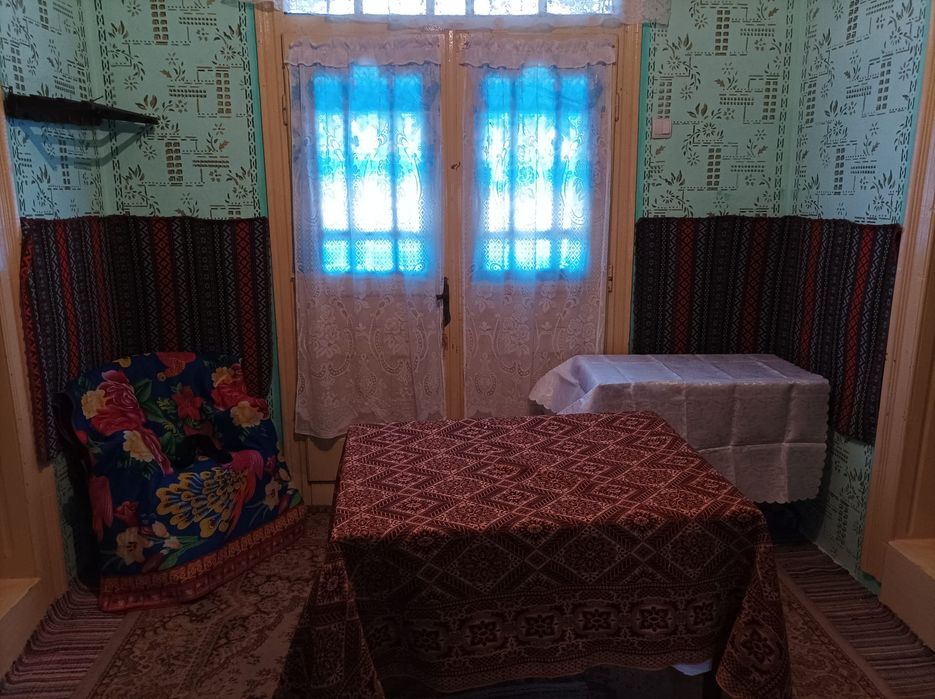 Casă bătrânească cu teren 3.500 mp, vie, pomi și utilități – ideală pe