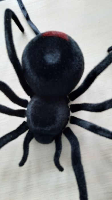 Новый.  Паук   на   пульте.