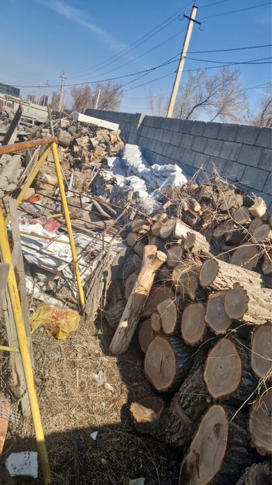 Продам дрова карагач