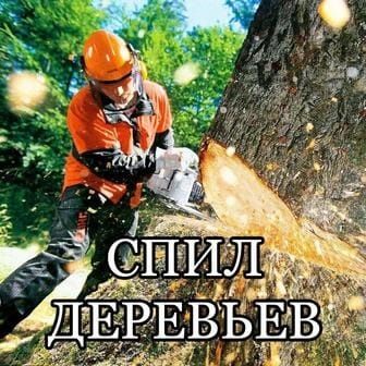 Спил разпил деревьев сухостоя,ветки кусты