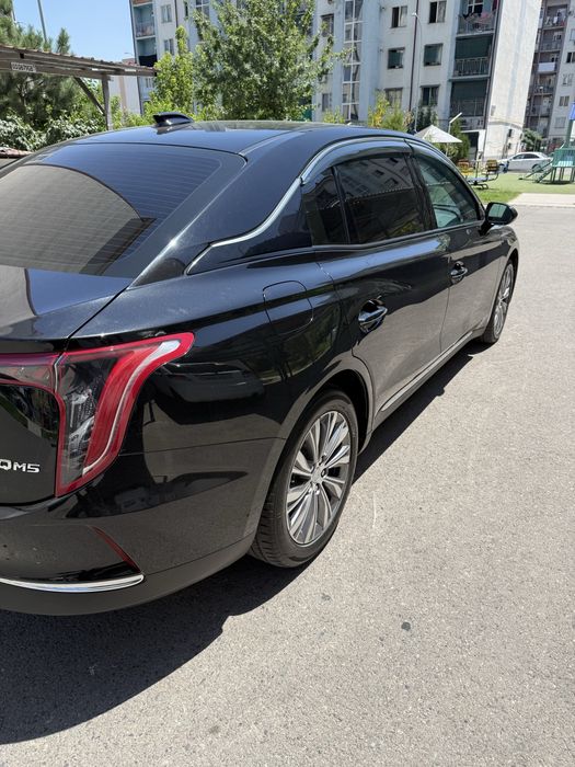 Hongqi 5 2024 fuul ideal