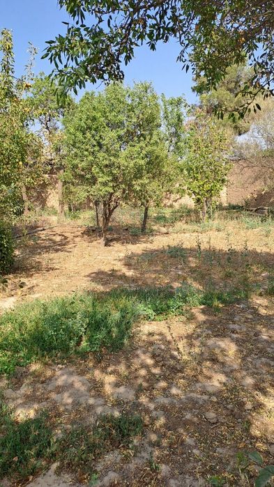 Yer  maydon sotiladi