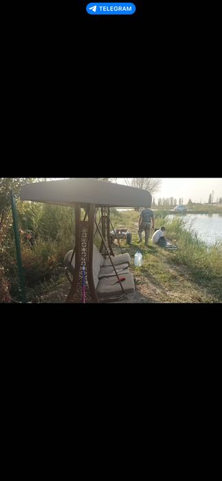 Рыба сазан, рыбалка. Топчан мангал.