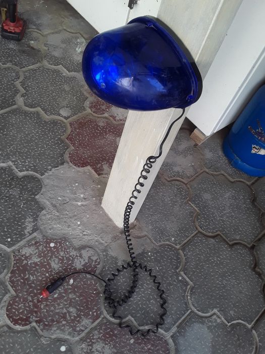 Серена ххххххххххххххххххххххх