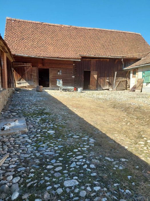 Casă cu șură, grajd și teren generos – Fântânele, Sibiu
