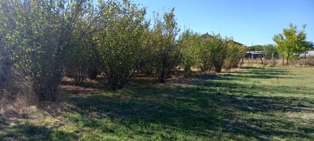 ПАРЦЕЛ/УПИ в с. Книжовник, обл. Хасково