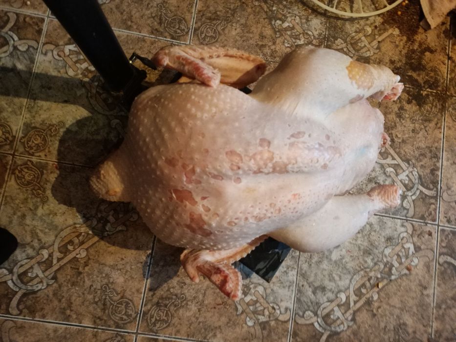Тушка индюка целиком