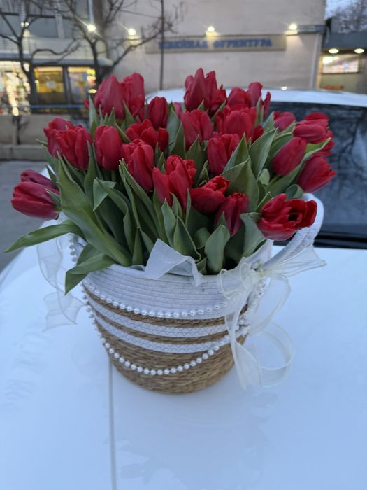 Тюльпан 43 штука