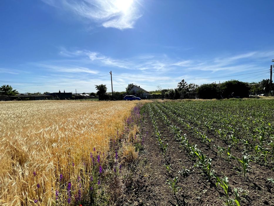 Teren la mare la Corbu, Constanta. 15 min de Mamaia Nord.