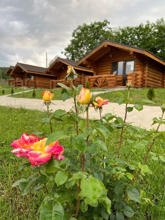Cabanute cu piscina incalzita