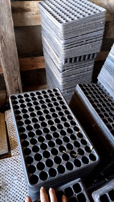 Тарелки за разсад