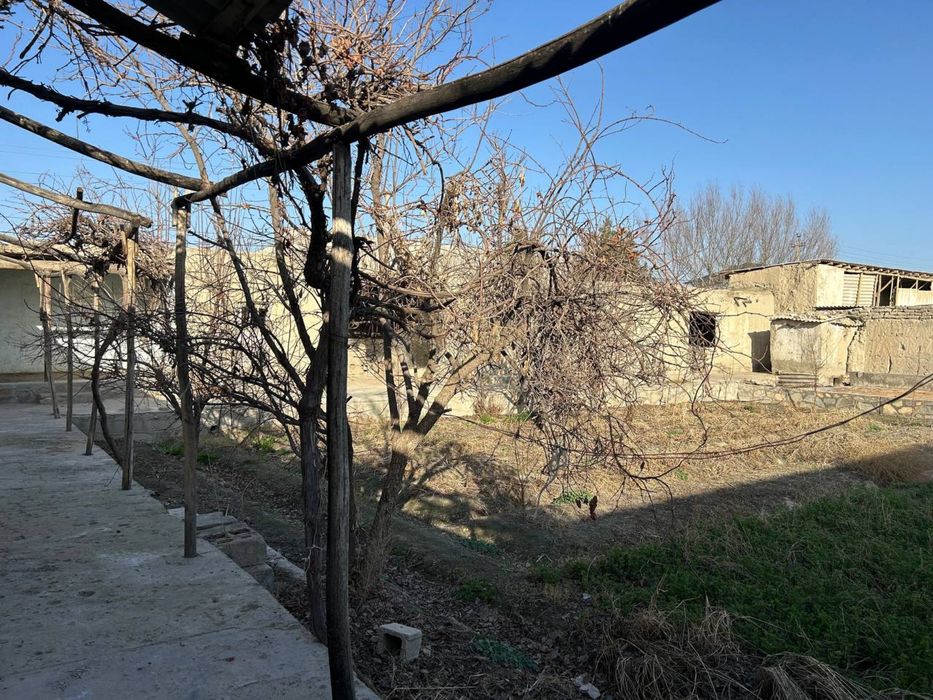 уйсотилади навои манзил навбахор