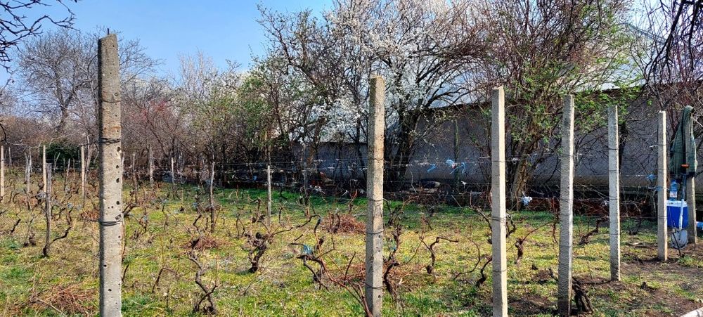 Teren intravilan Breaza , judetul Buzău