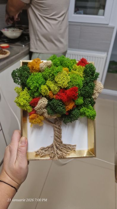 Tablou licheni stabilizati