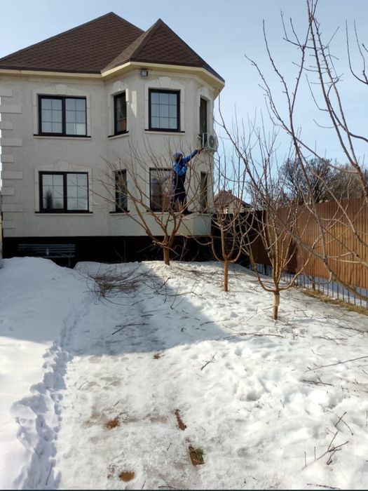 Обрезка деревьев электроинструментами