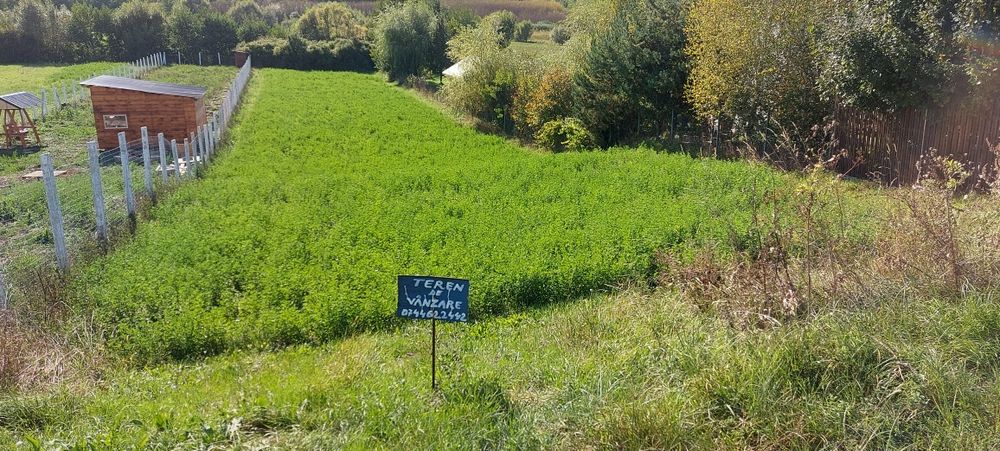 Teren de vanzare