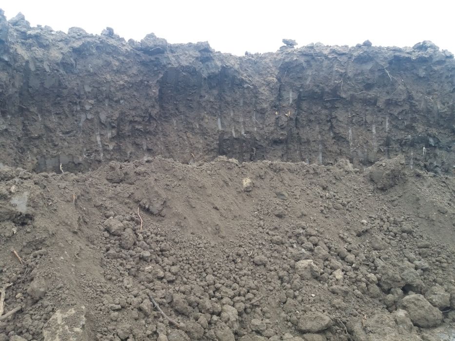 Pământ negru pt.umplutura si grădini  o746.93o.13o