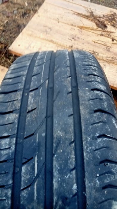 Продам шины      .