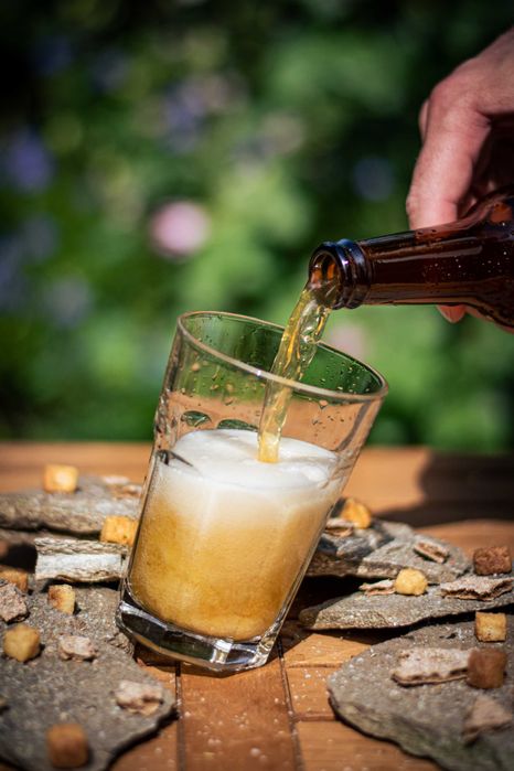 Fabrică de bere, 1000L/șarjă