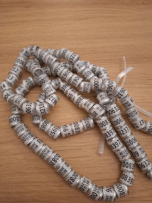 Inele porumbei 2025 8 mm