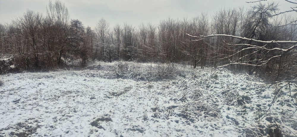 Teren intravilan 3000–9000 mp cu iaz, curent, apă – Vâlcea