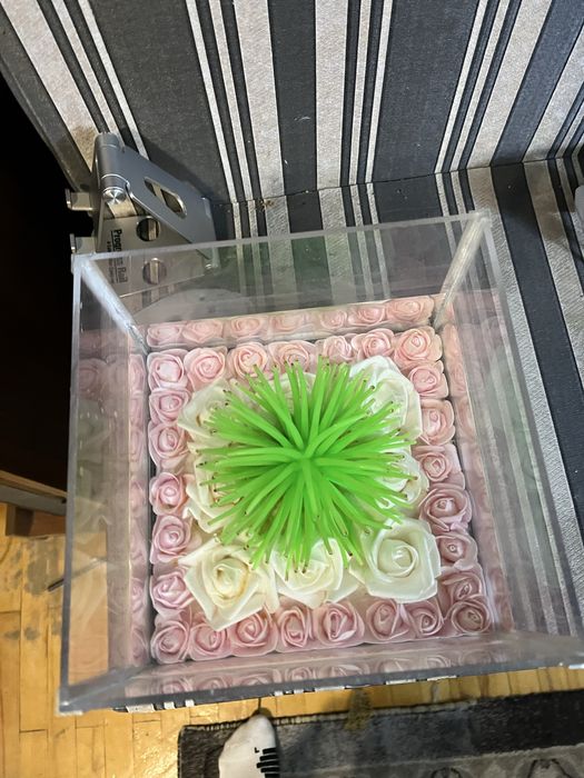 Оквариум для рыб