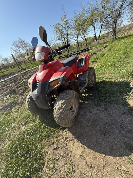ATV Dinli 100 cc  an 2004