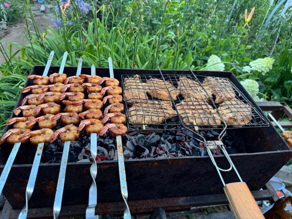 Продам дачу ПЕСТРОЕ