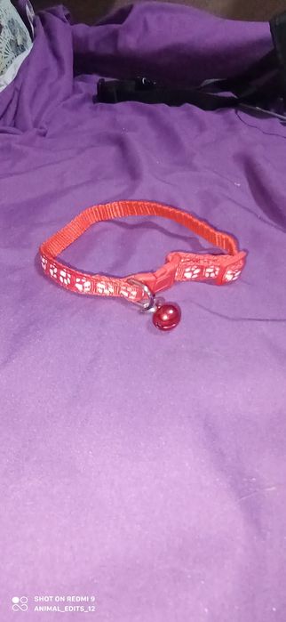 ошейник для кошки или собаки мелких пород