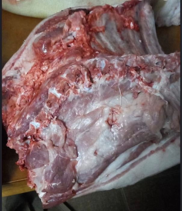 Мясо домашнее свинина