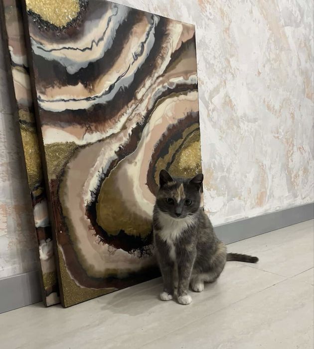 Ласковая кошечка ищет дом