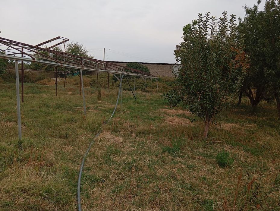 Yer uchastkasi sotiladi sotigʻi  10mln