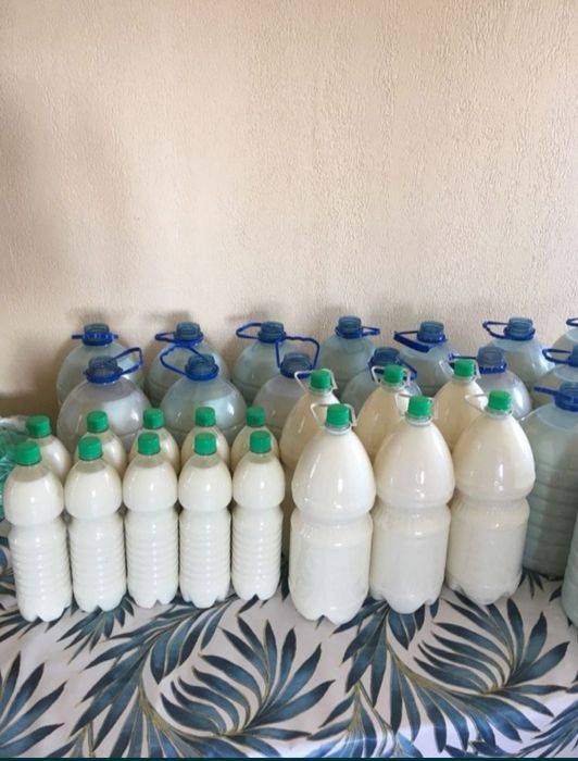 Кымыз, шубат, молочка