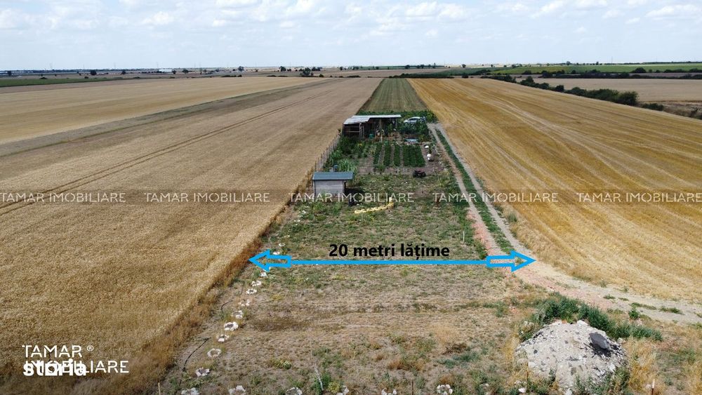 Teren 10.000 Mp Vladimirescu / Acces Foarte Bun