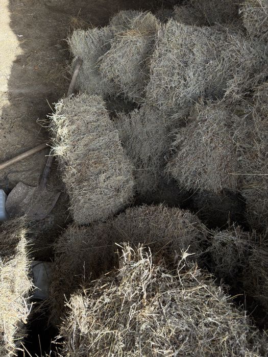 Тук сатылады жусан