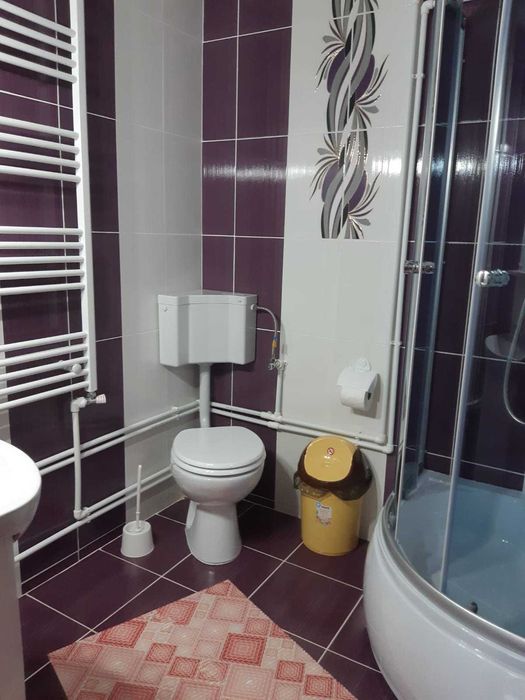 Cabana Ioana Anastasia Arieseni