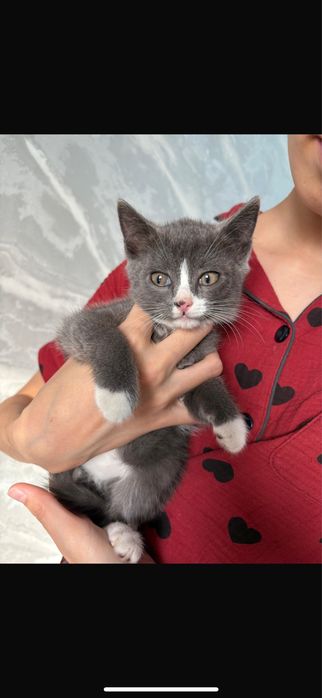 Очаровательный Филя!