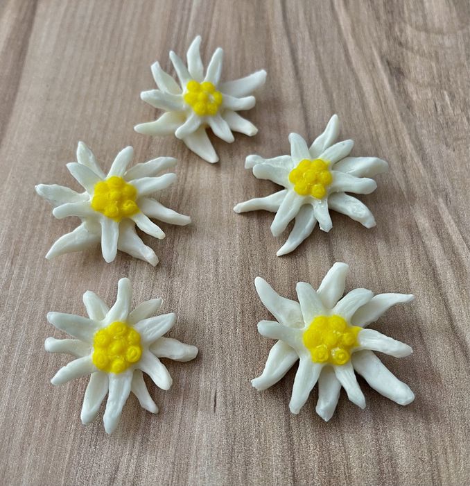 Brose flori de colt Edelweiss