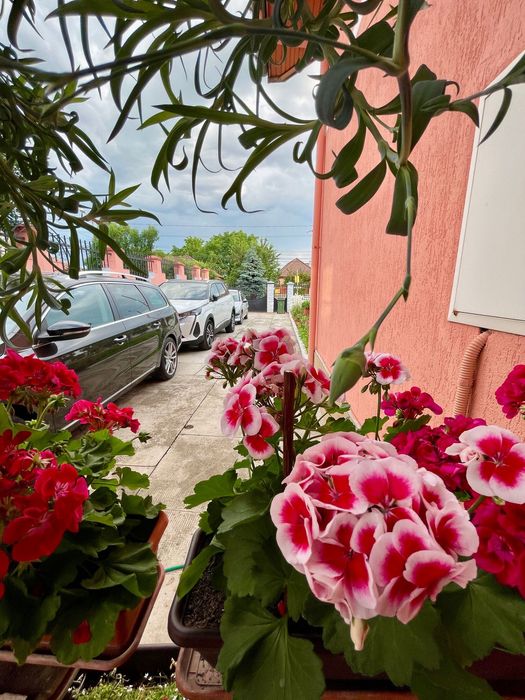 Casa individuala Ghiroda