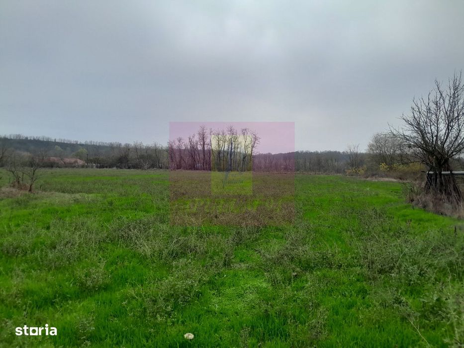 Barcanesti (Il) - Se Vinde Casa + Teren 16K Mp