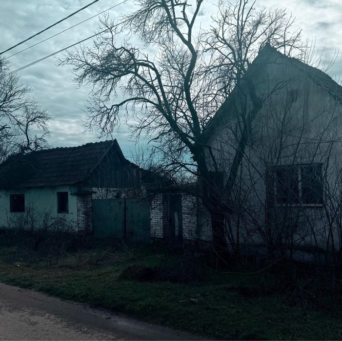 Casa de vanzare in sat Rapsig jud Arad cu 1400 m2 pamant