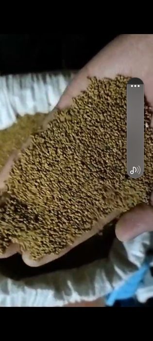 Самсунг А 71 1982