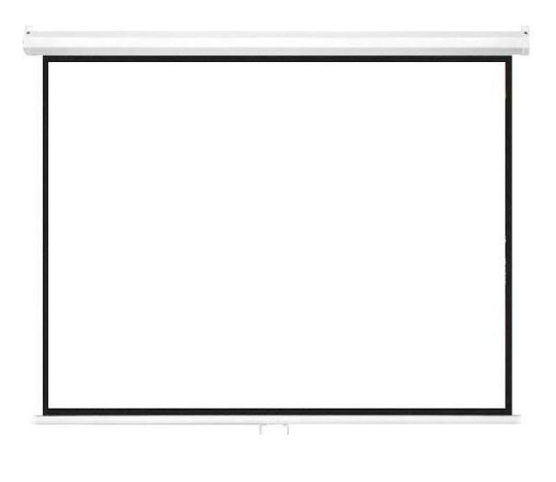 Проекционный экран Mr.Pixel MSPSBC100V2 254 см