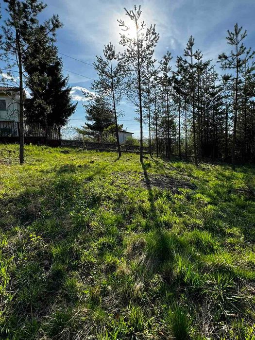 Продава се Парцел в с. Злокучене, Област София-област - 530 кв.м за 85 €/кв.м - Снимка #2