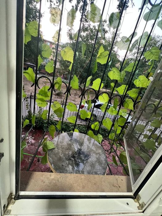 ЧИЛАНЗАР 20 кв 2 ХОНА 3 хона Килинган Шароитлари бор Тозза ремонт Оила